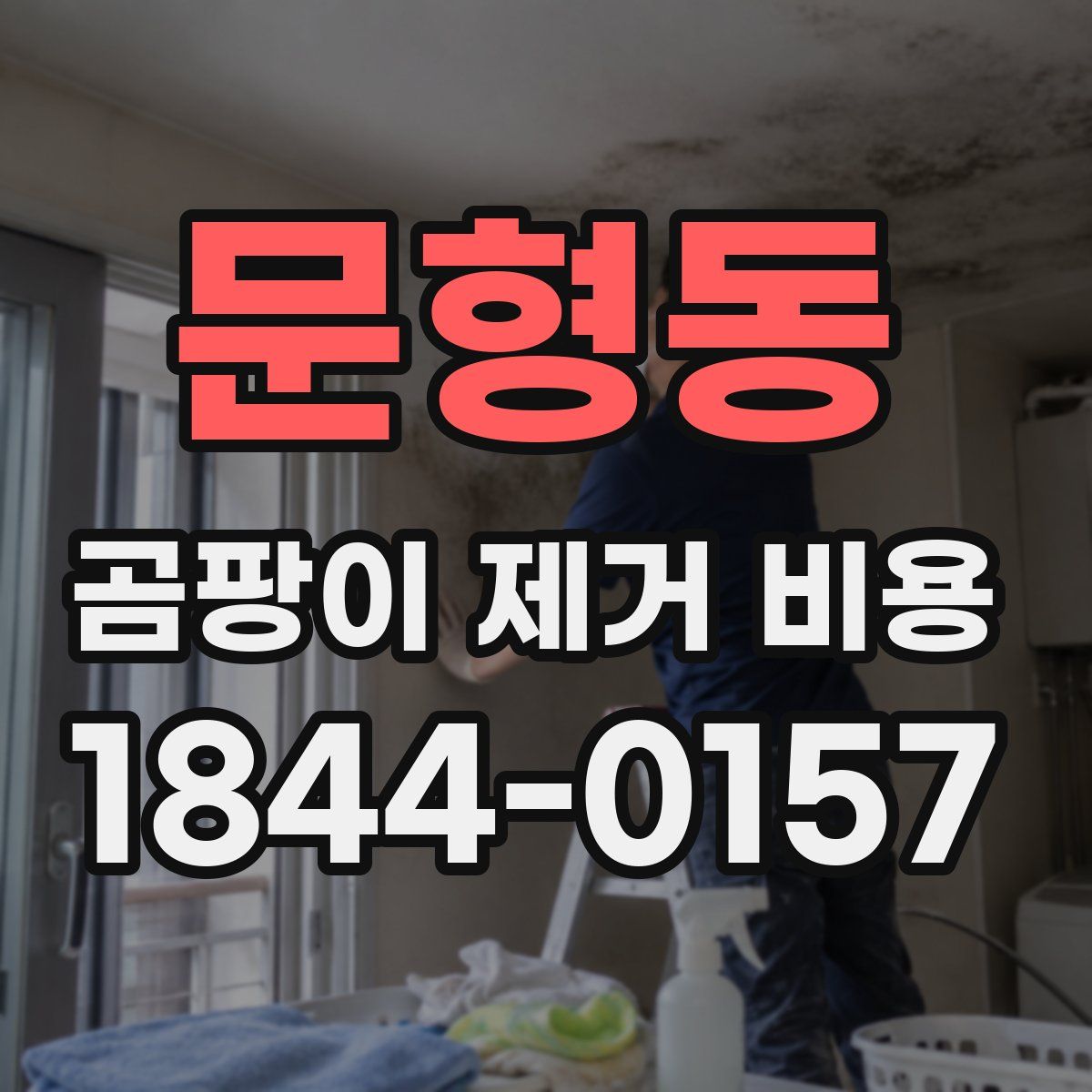 문형동 곰팡이 제거 비용