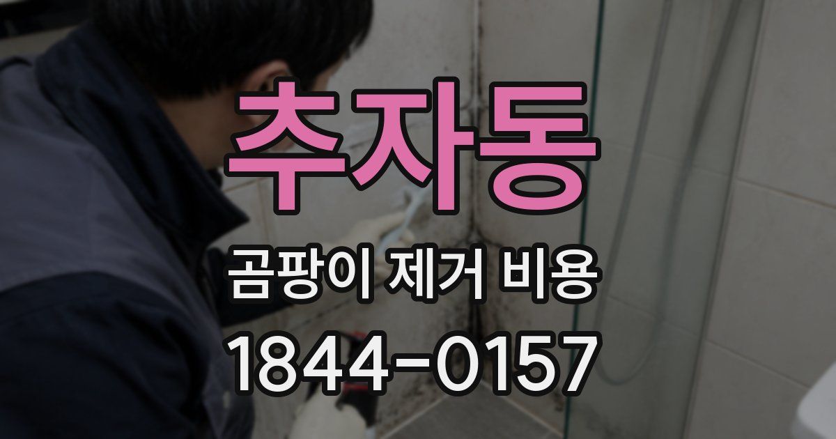 추자동 곰팡이 제거 비용
