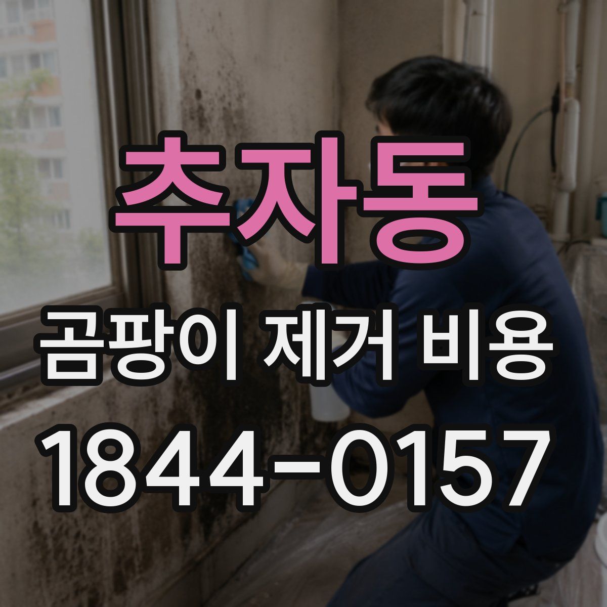 추자동 곰팡이 제거 비용