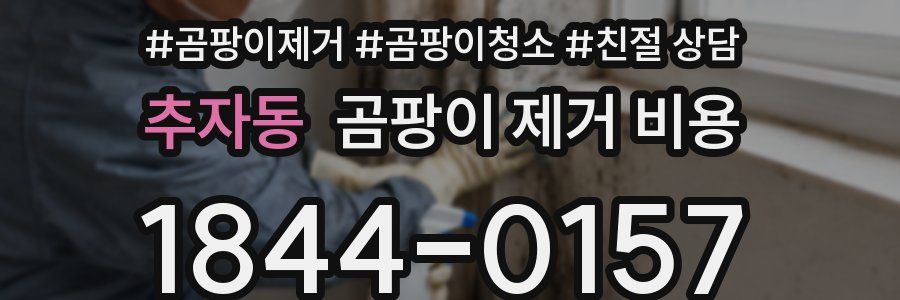 추자동 곰팡이 제거 비용