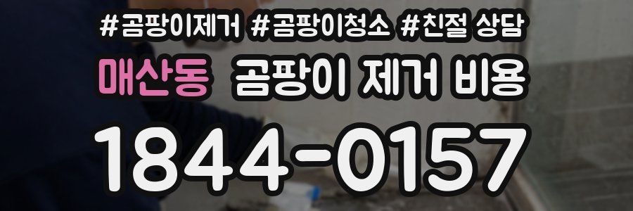 매산동 곰팡이 제거 비용
