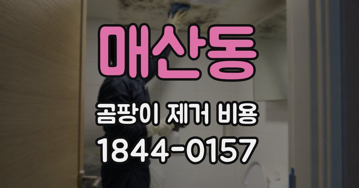 매산동 곰팡이 제거 비용