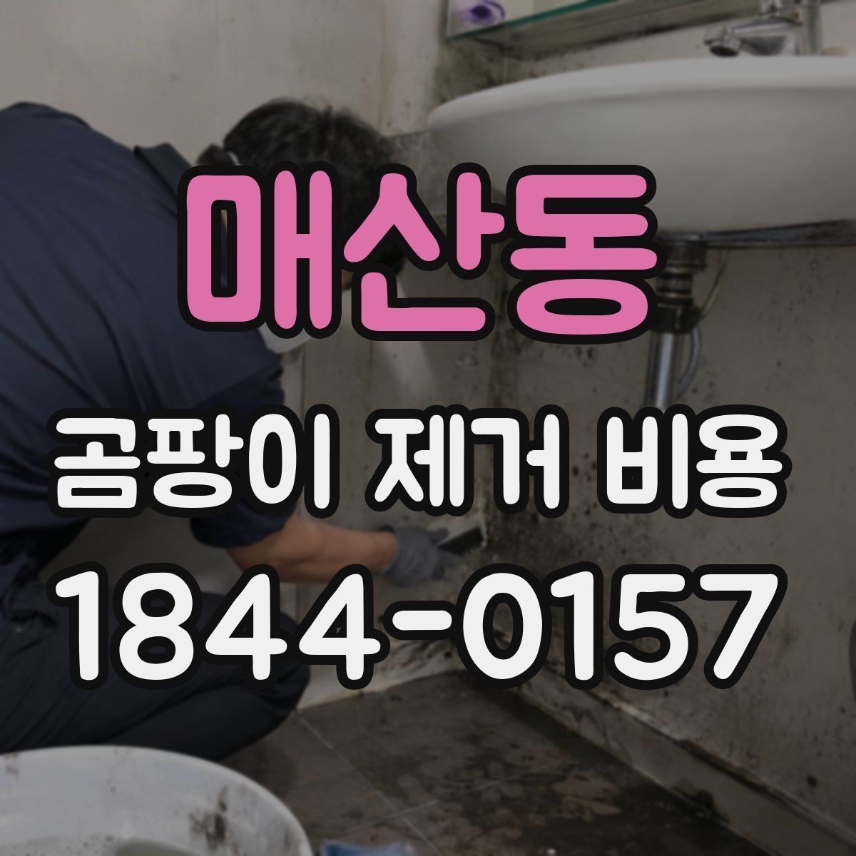 매산동 곰팡이 제거 비용