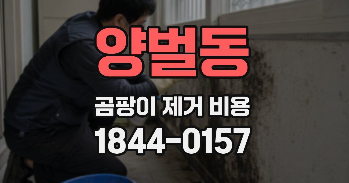 양벌동 곰팡이 제거 비용