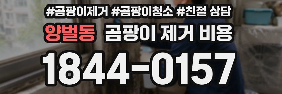 양벌동 곰팡이 제거 비용