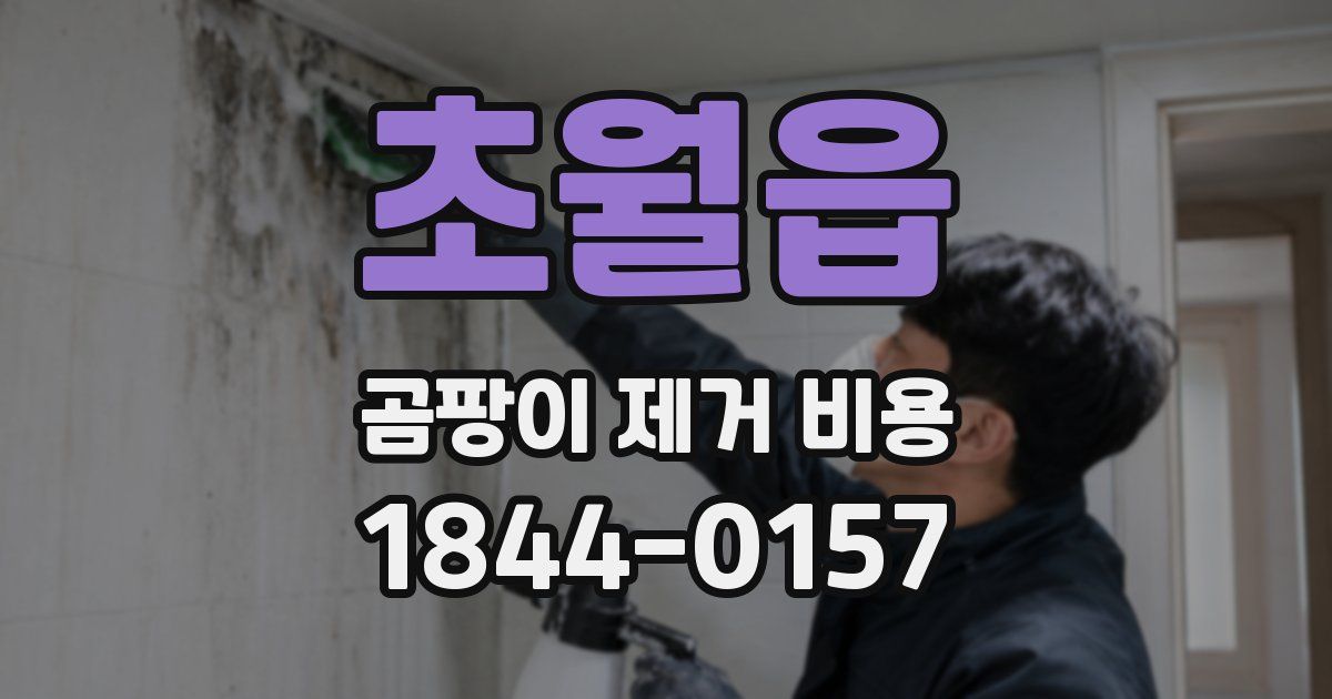 초월읍 곰팡이 제거 비용
