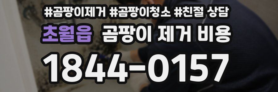 초월읍 곰팡이 제거 비용