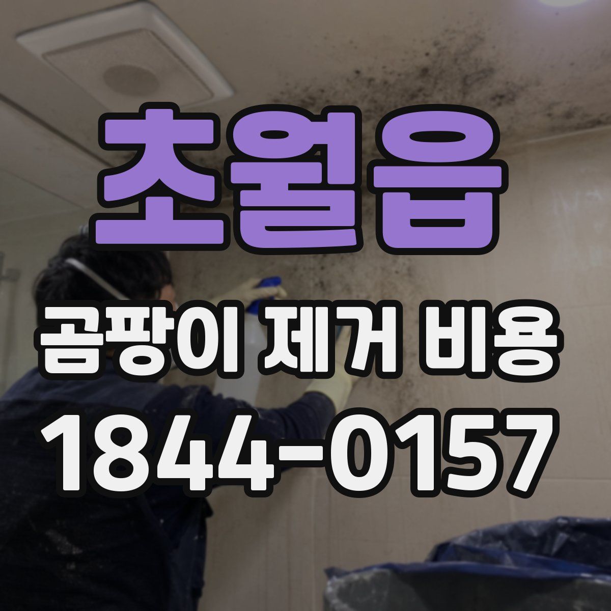 초월읍 곰팡이 제거 비용