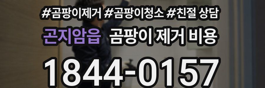 곤지암읍 곰팡이 제거 비용