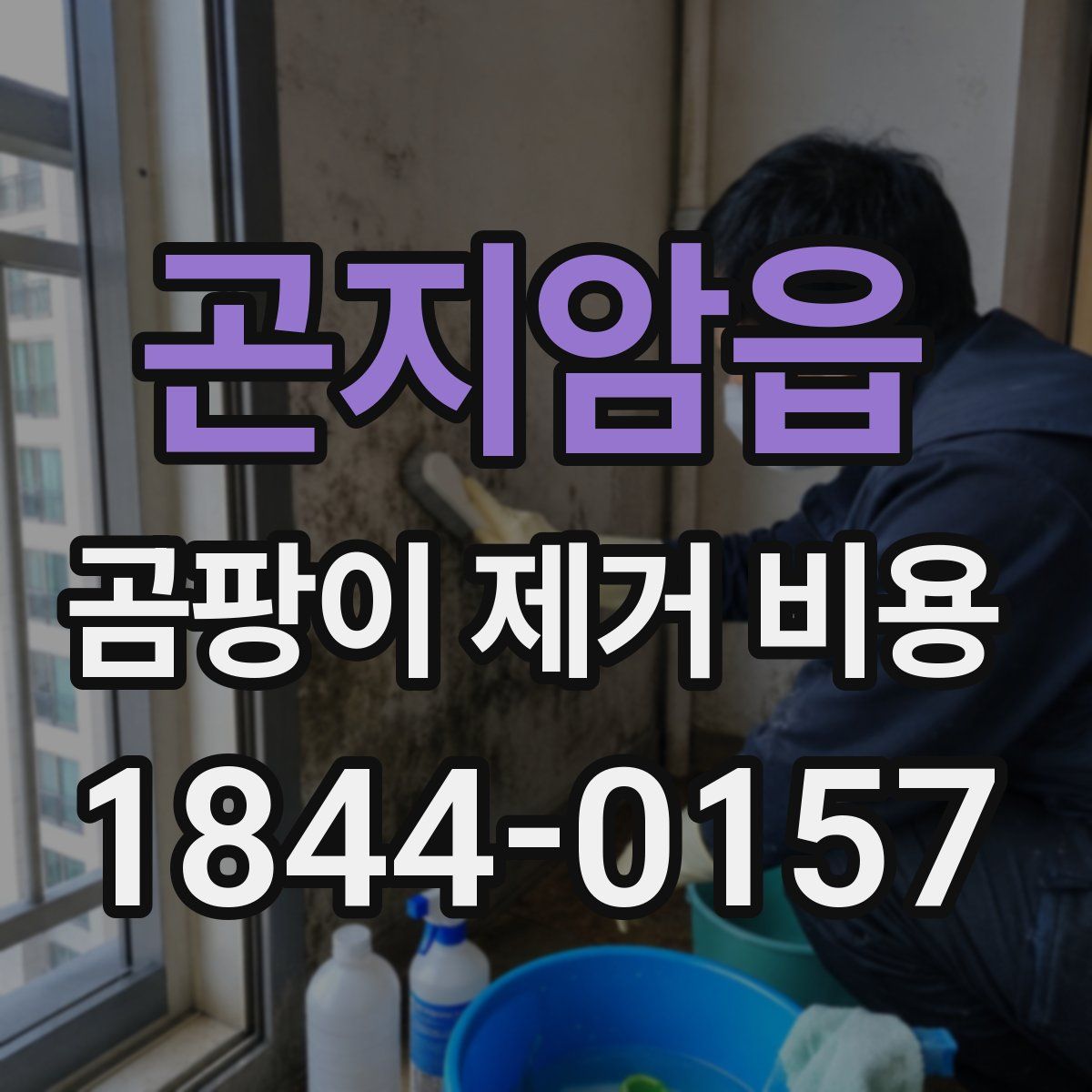 곤지암읍 곰팡이 제거 비용