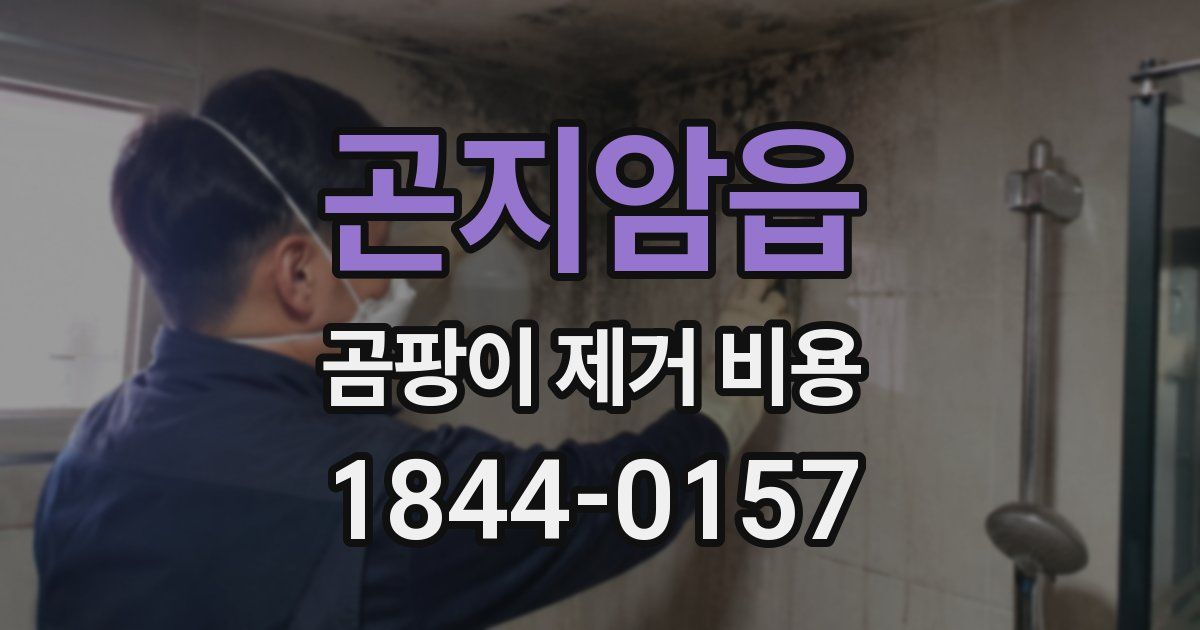 곤지암읍 곰팡이 제거 비용