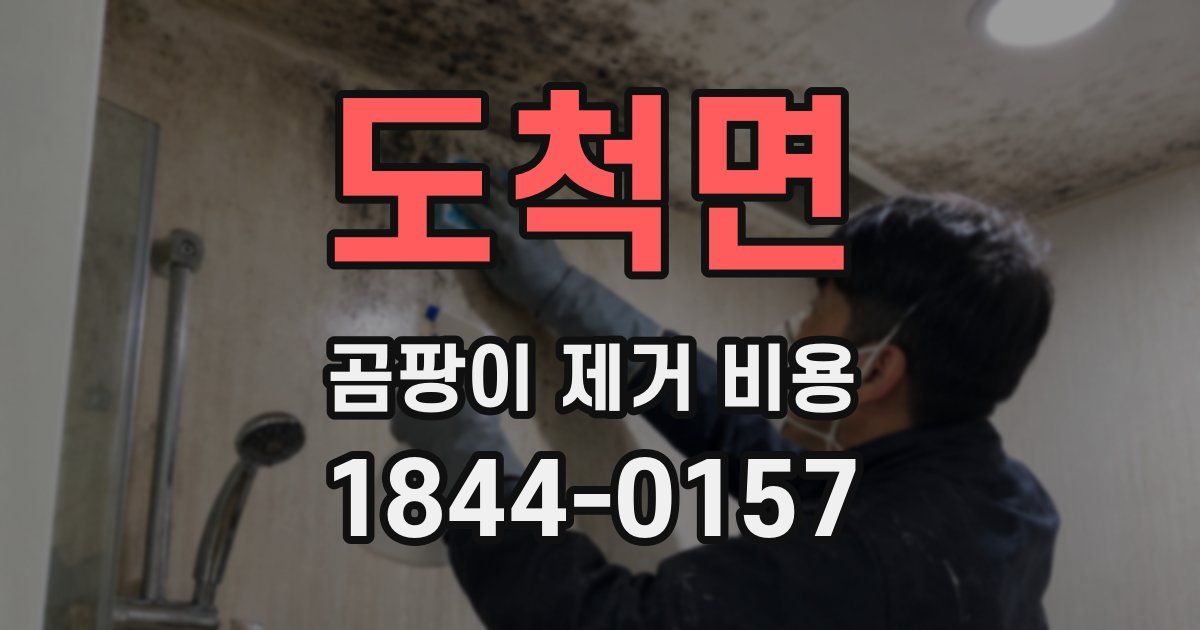 도척면 곰팡이 제거 비용
