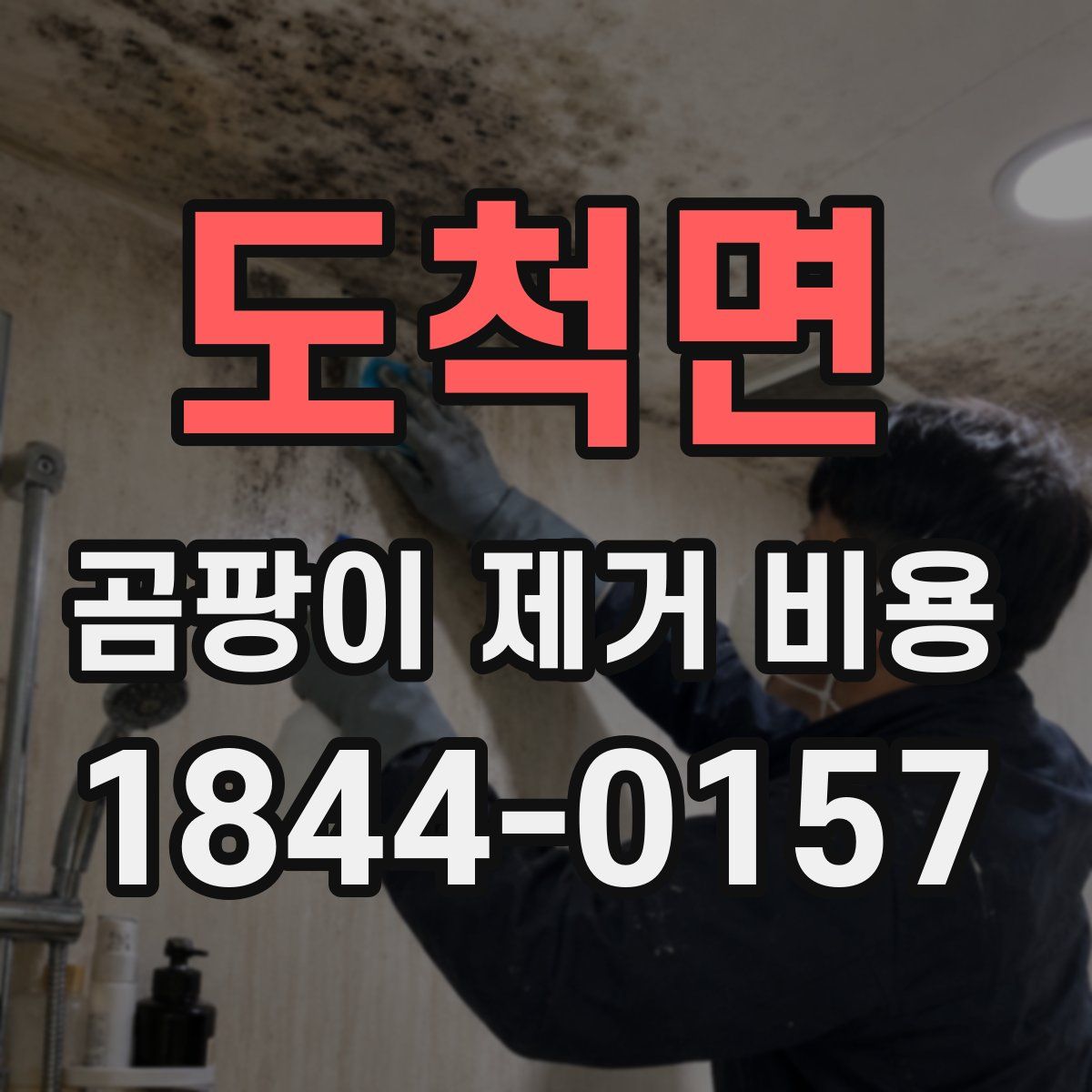 도척면 곰팡이 제거 비용