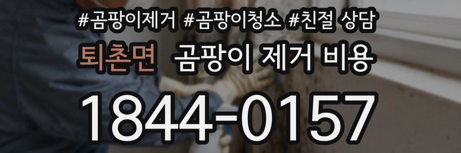 퇴촌면 곰팡이 제거 비용