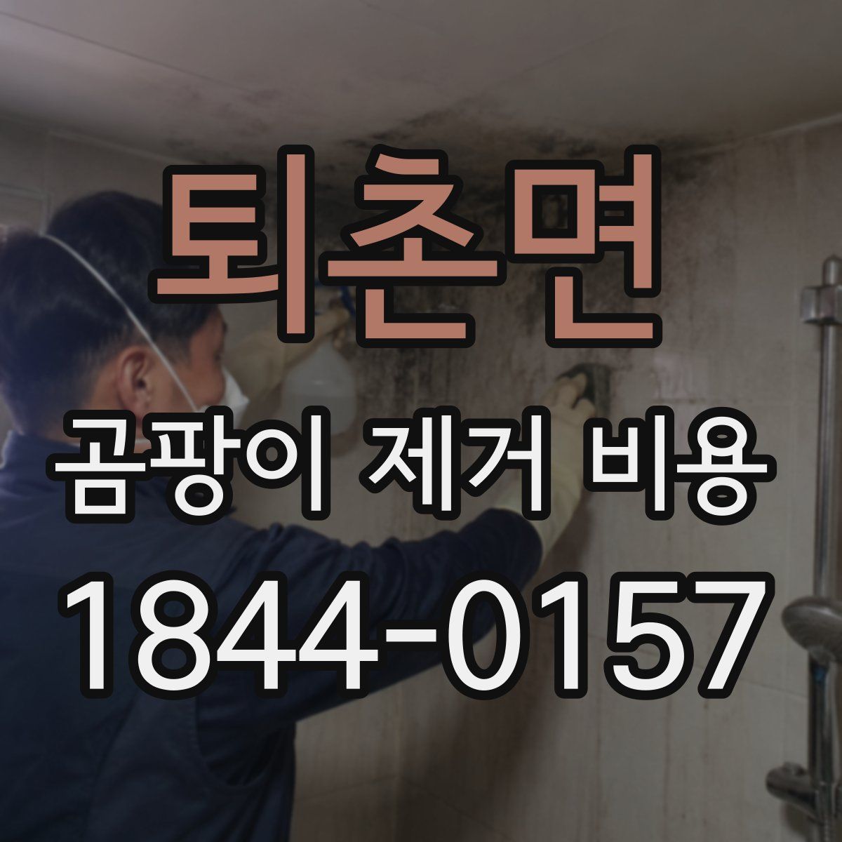 퇴촌면 곰팡이 제거 비용