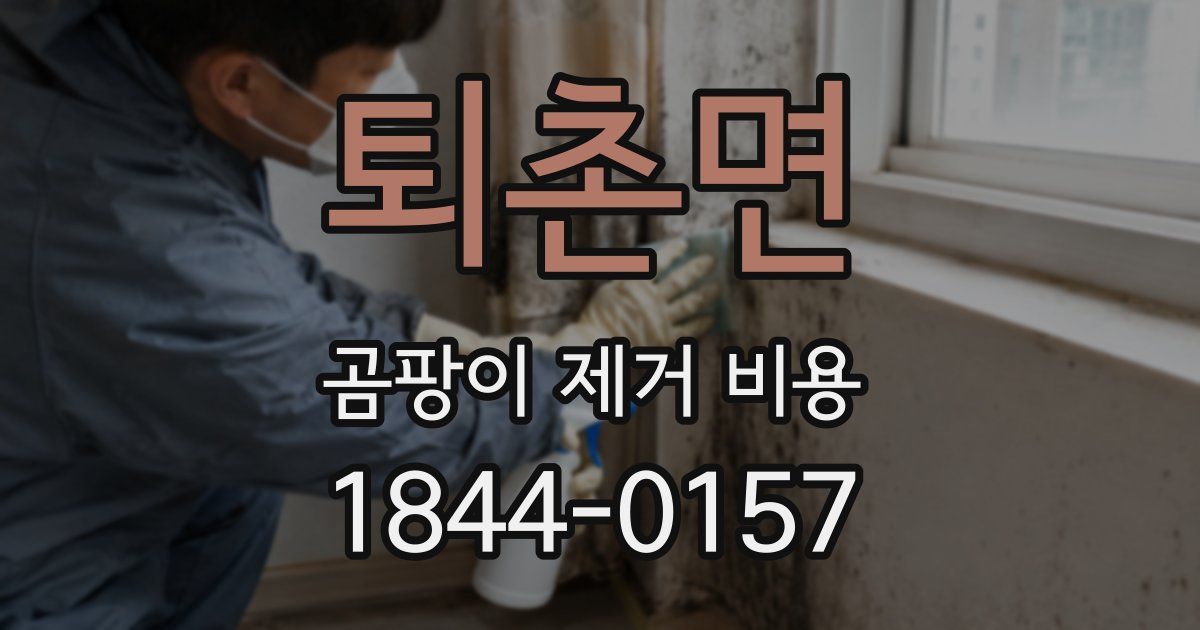 퇴촌면 곰팡이 제거 비용