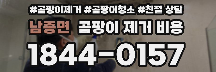남종면 곰팡이 제거 비용