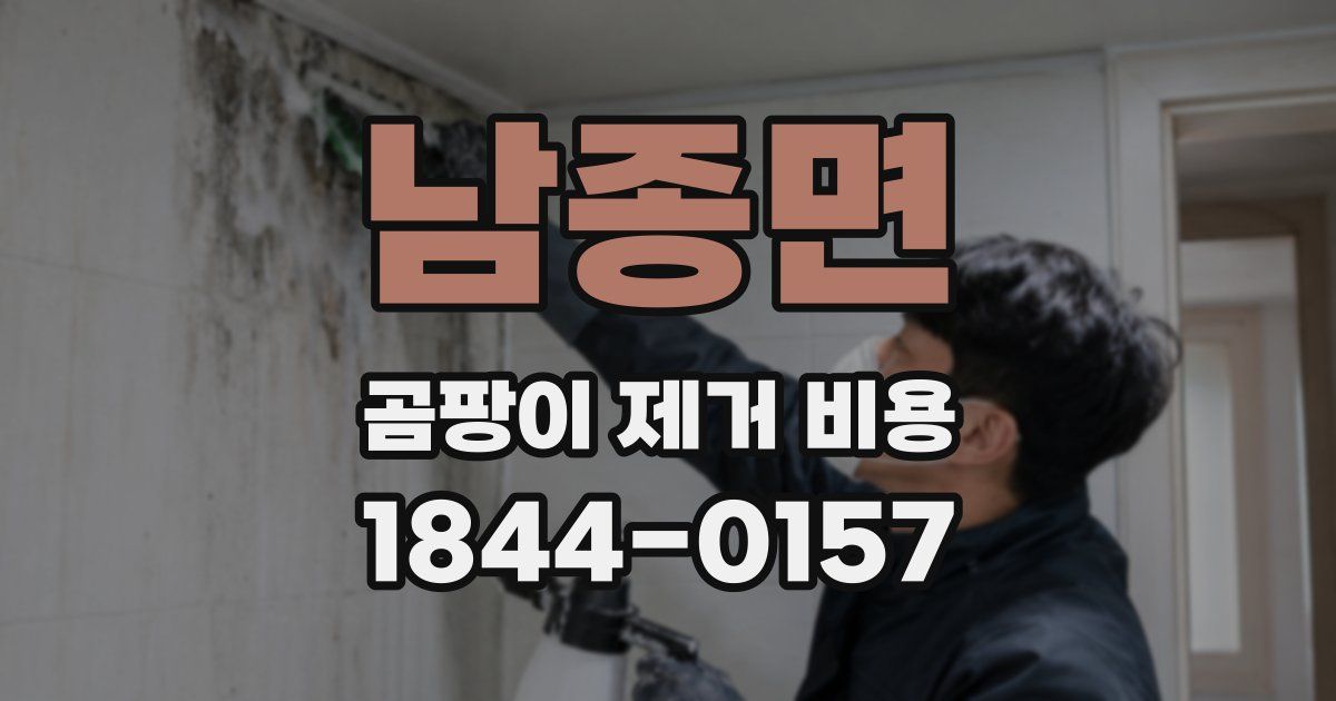 남종면 곰팡이 제거 비용