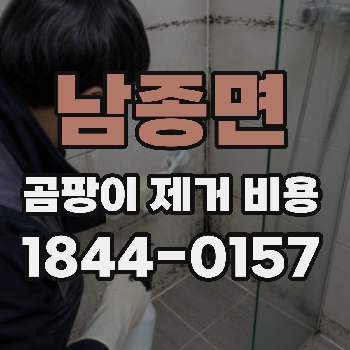 남종면 곰팡이 제거 비용