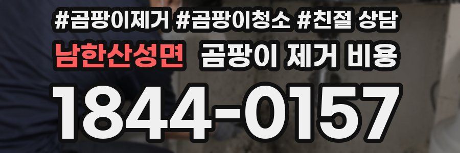 남한산성면 곰팡이 제거 비용