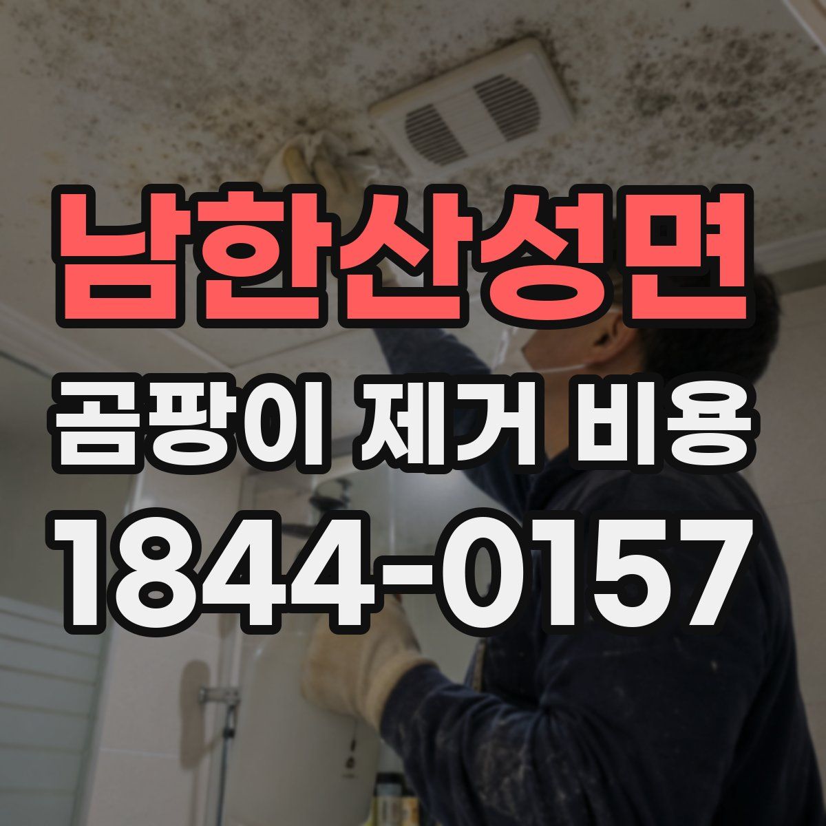 남한산성면 곰팡이 제거 비용