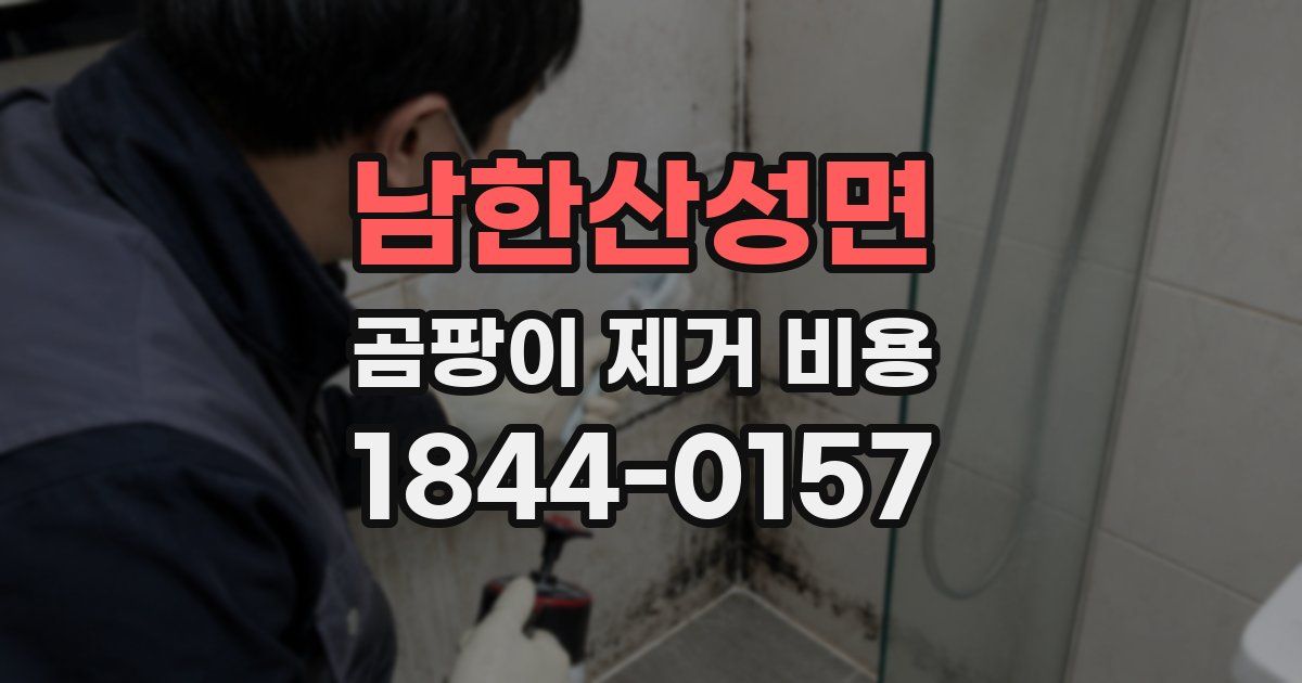 남한산성면 곰팡이 제거 비용