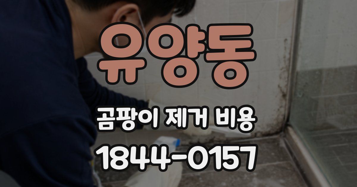 유양동 곰팡이 제거 비용