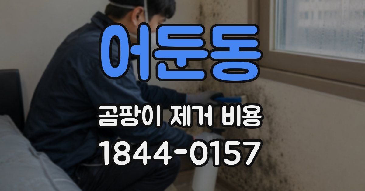 어둔동 곰팡이 제거 비용