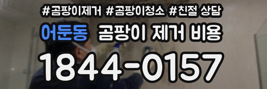 어둔동 곰팡이 제거 비용