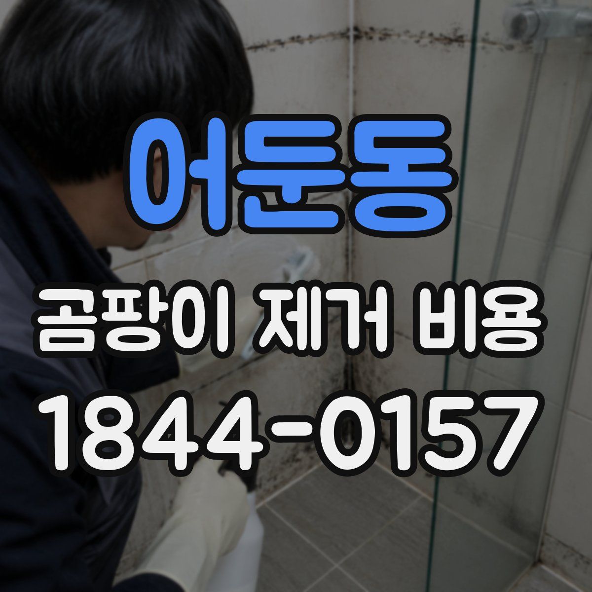 어둔동 곰팡이 제거 비용