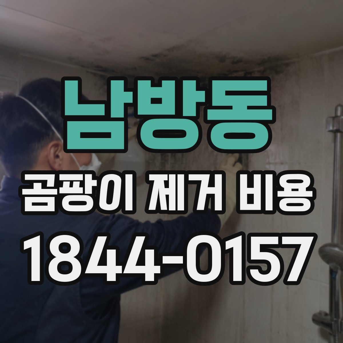 남방동 곰팡이 제거 비용