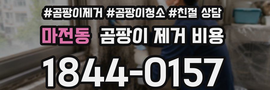 마전동 곰팡이 제거 비용