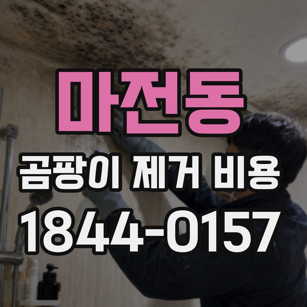 마전동 곰팡이 제거 비용