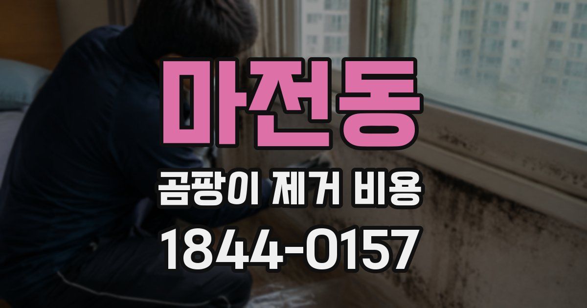 마전동 곰팡이 제거 비용