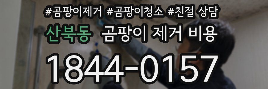 산북동 곰팡이 제거 비용