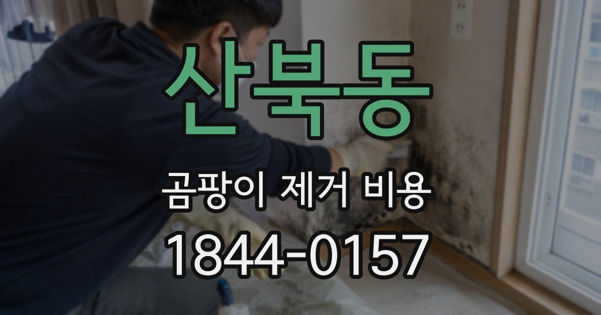 산북동 곰팡이 제거 비용