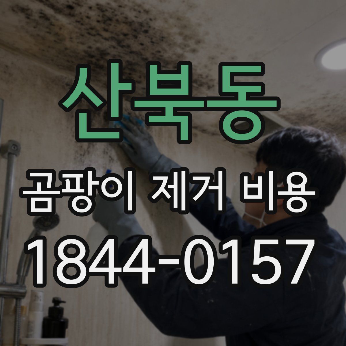 산북동 곰팡이 제거 비용
