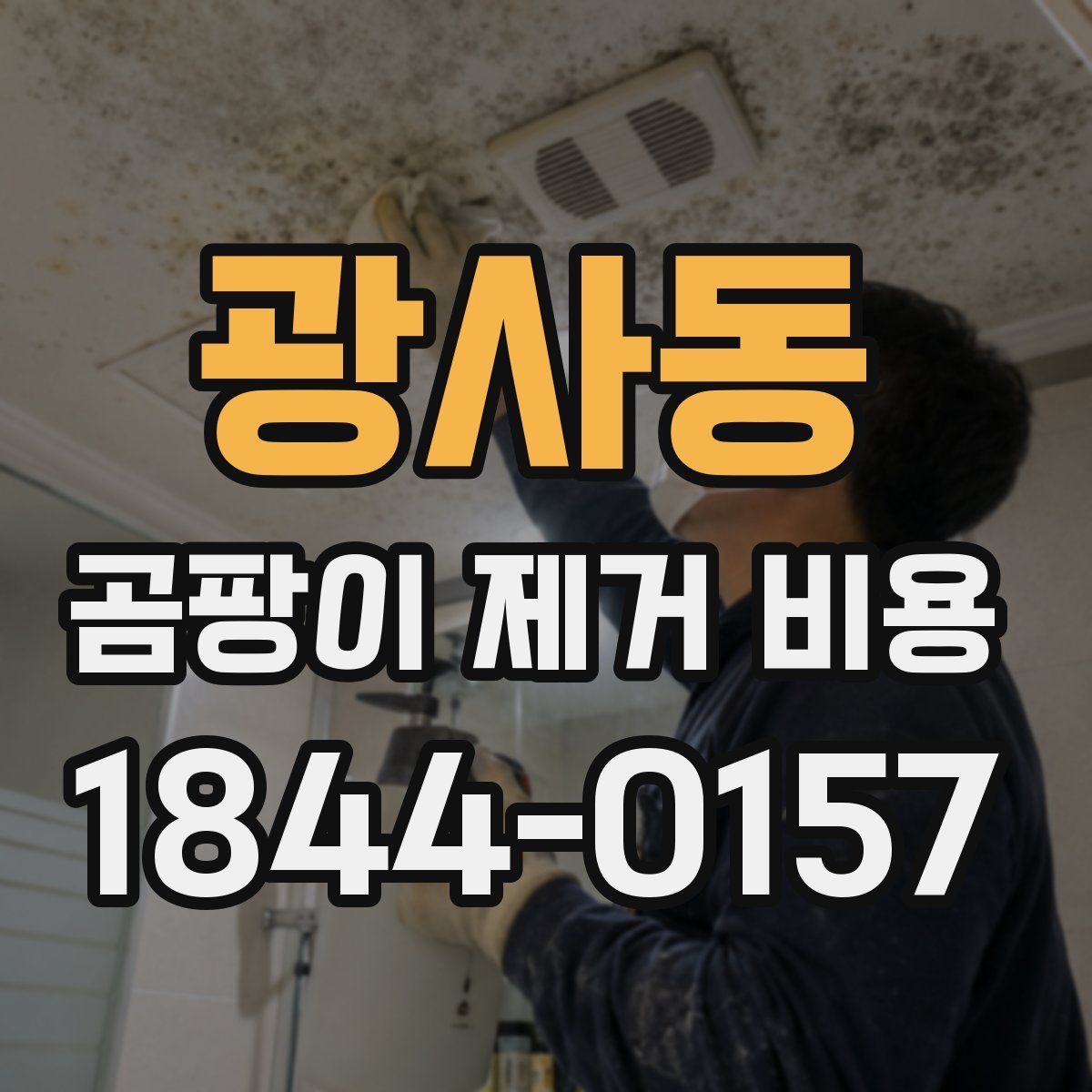 광사동 곰팡이 제거 비용