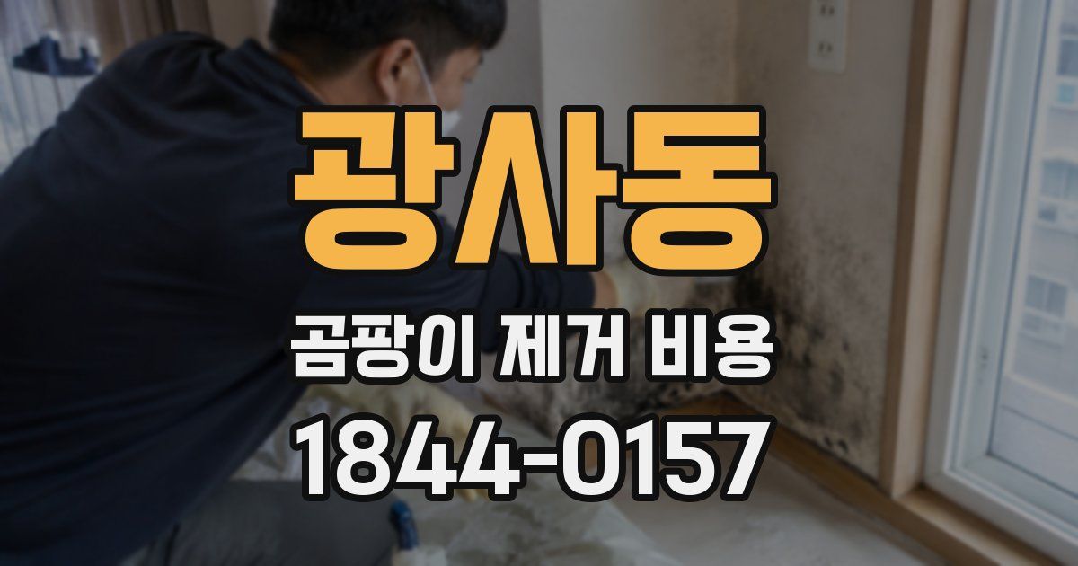 광사동 곰팡이 제거 비용