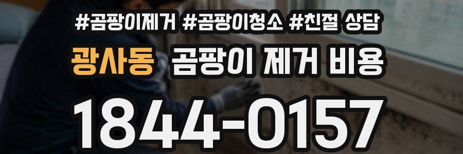 광사동 곰팡이 제거 비용