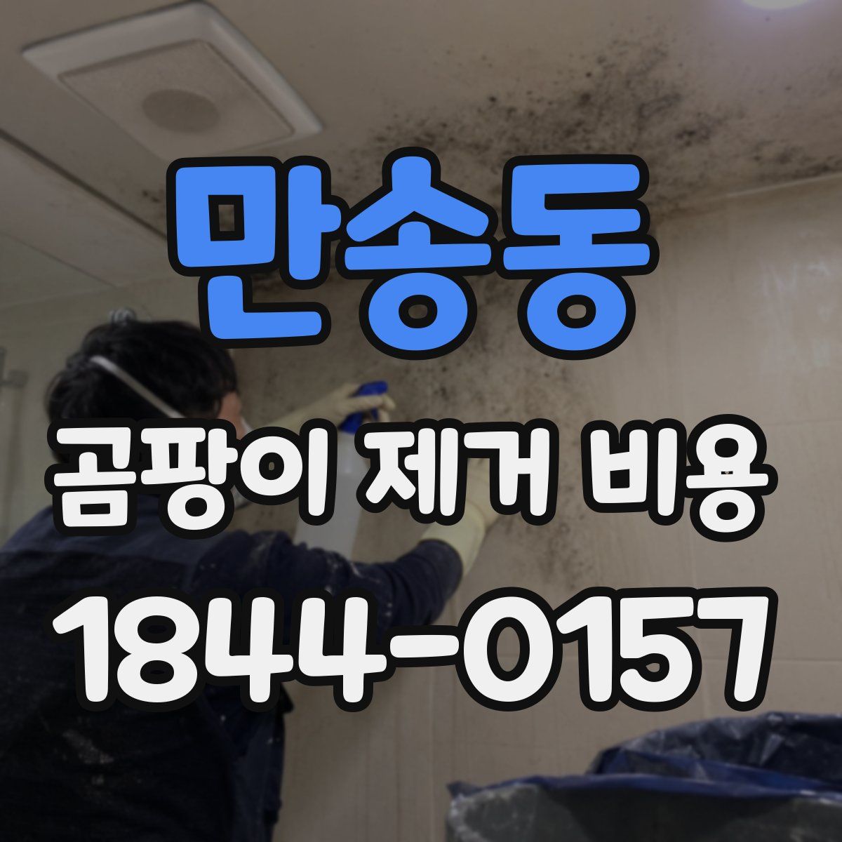 만송동 곰팡이 제거 비용