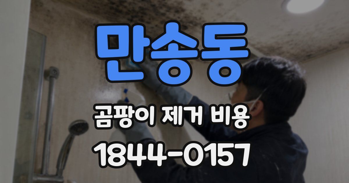 만송동 곰팡이 제거 비용
