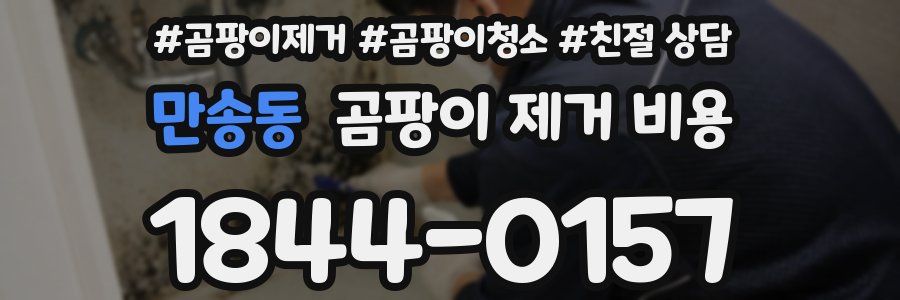 만송동 곰팡이 제거 비용