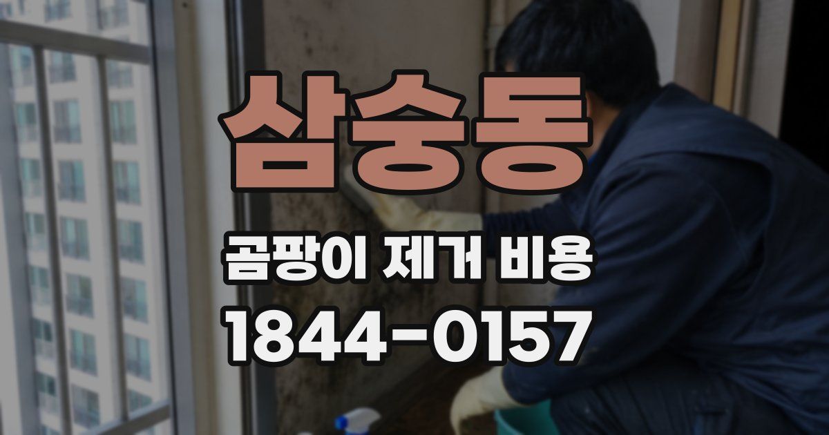 삼숭동 곰팡이 제거 비용