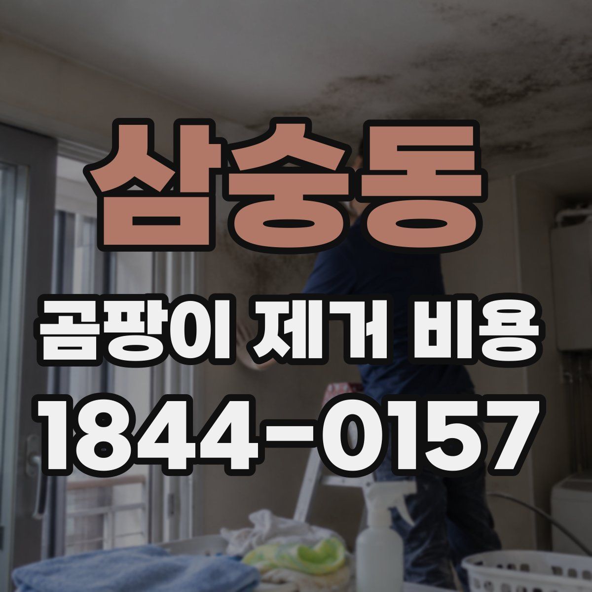 삼숭동 곰팡이 제거 비용