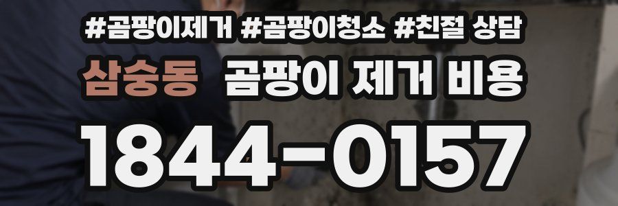 삼숭동 곰팡이 제거 비용