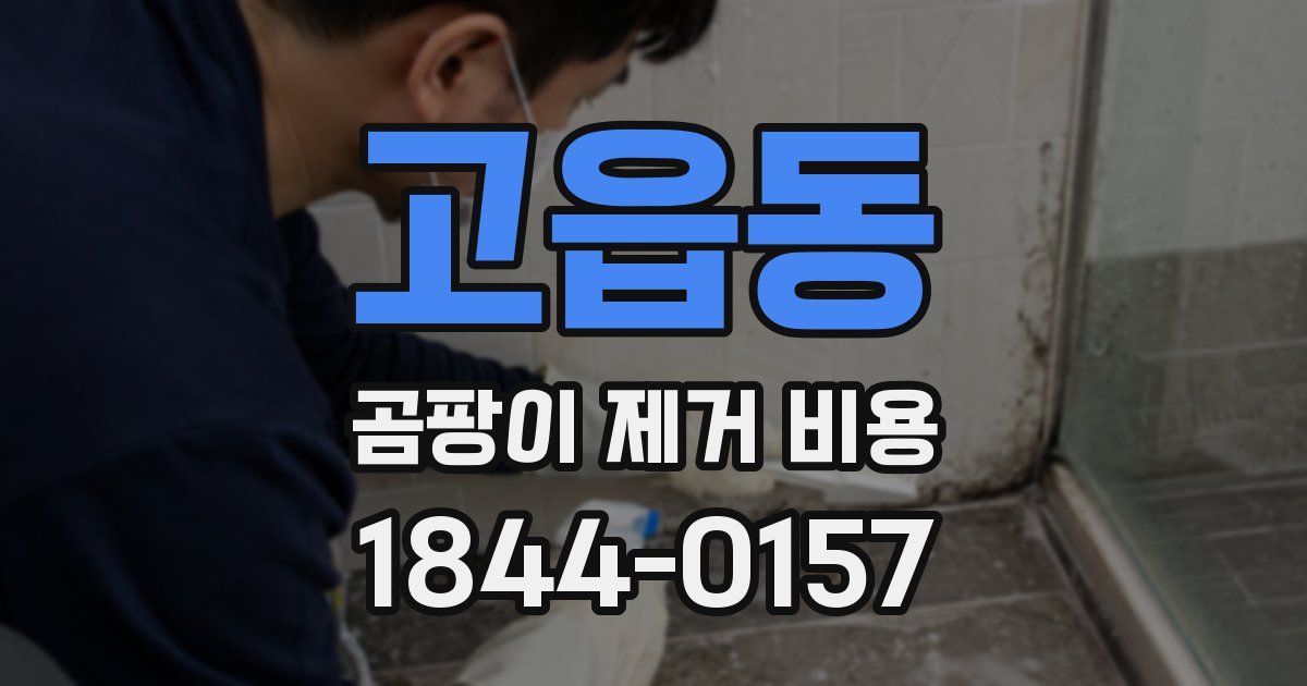 고읍동 곰팡이 제거 비용