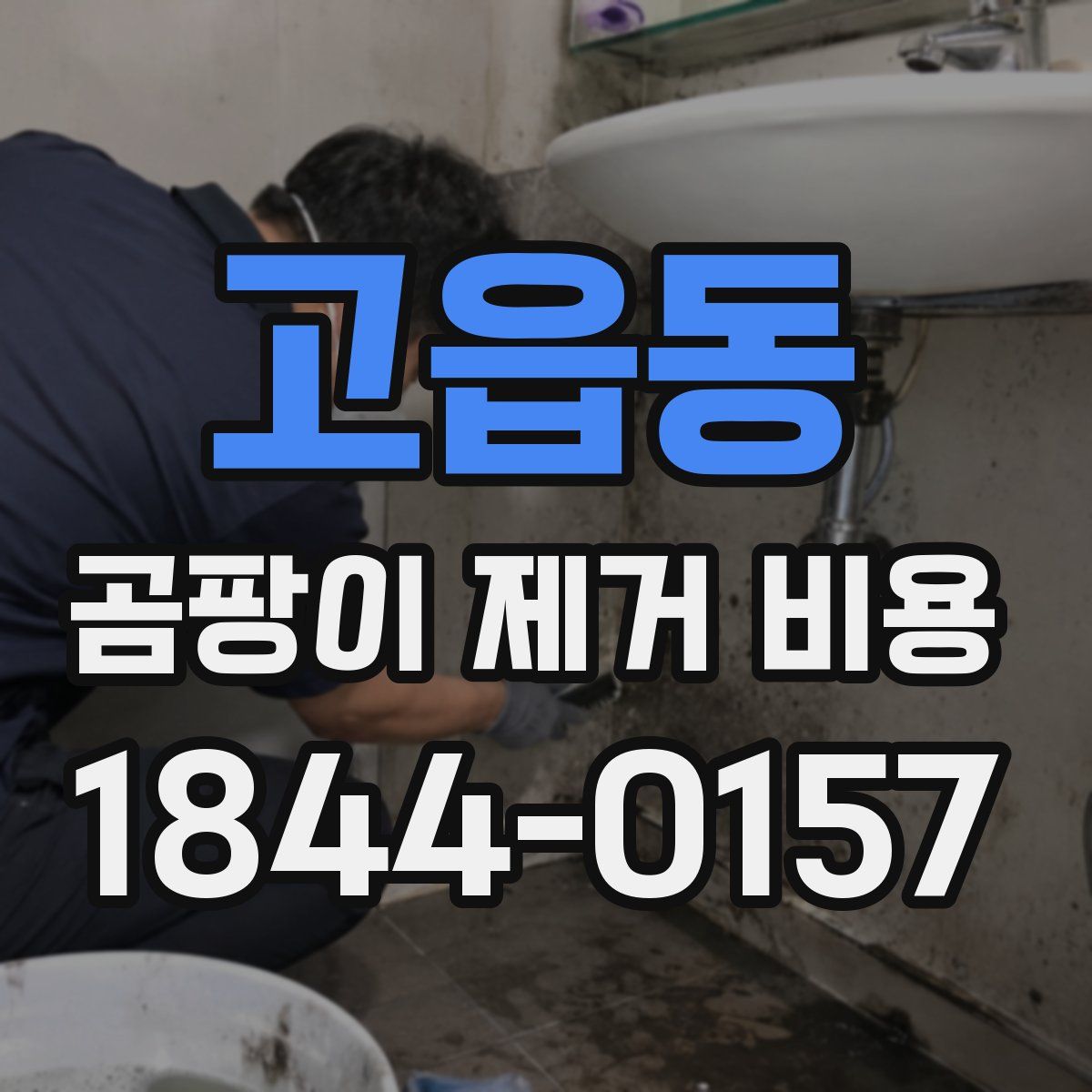 고읍동 곰팡이 제거 비용