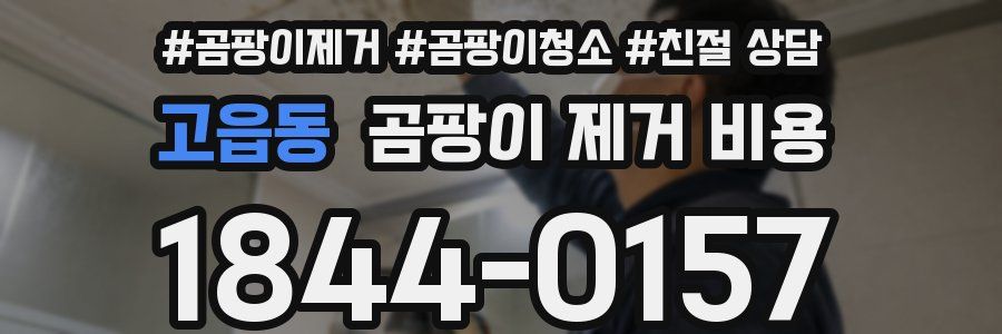 고읍동 곰팡이 제거 비용