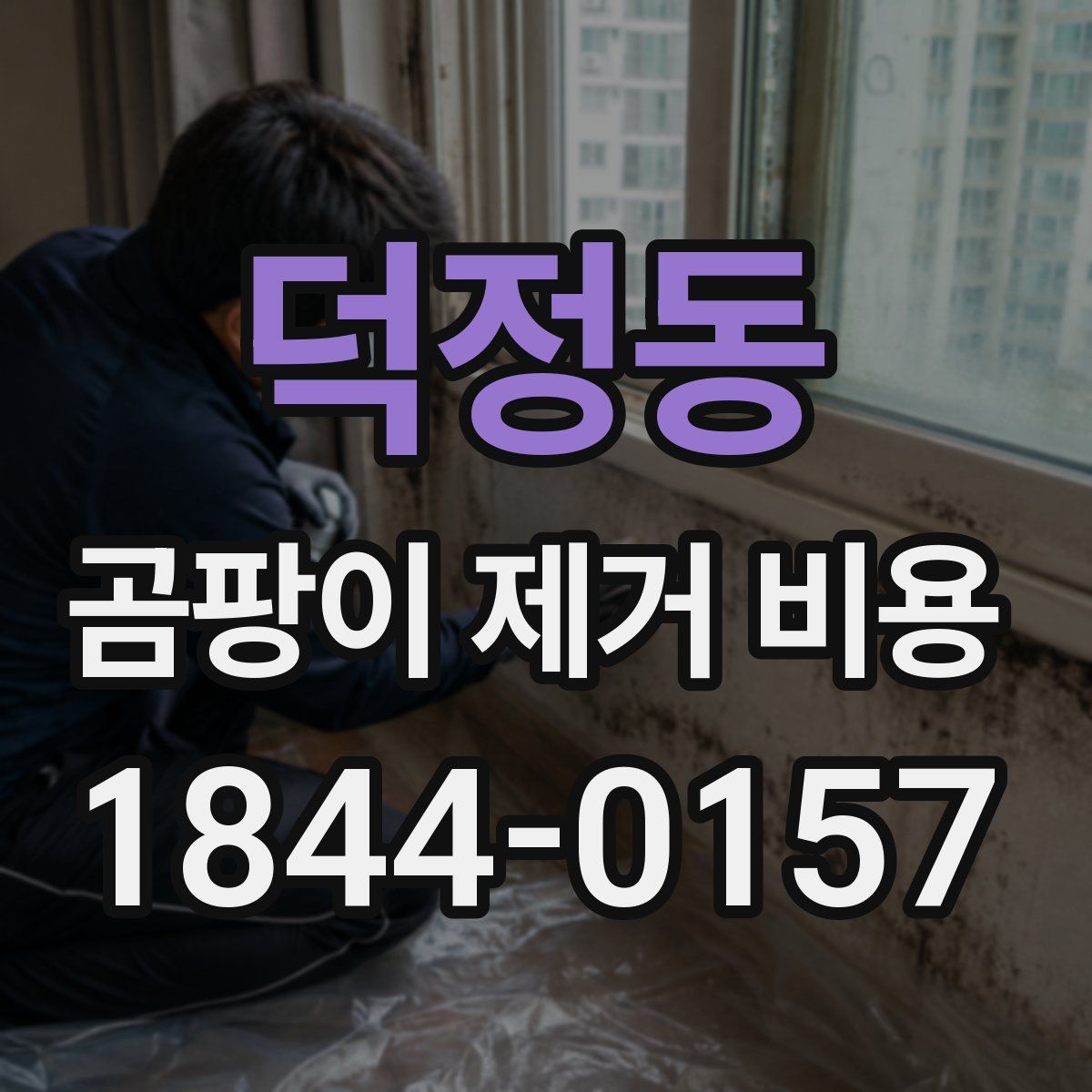 덕정동 곰팡이 제거 비용